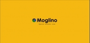 Особая экономическая зона «Моглино» вступила в Экономический Ганзейский союз
